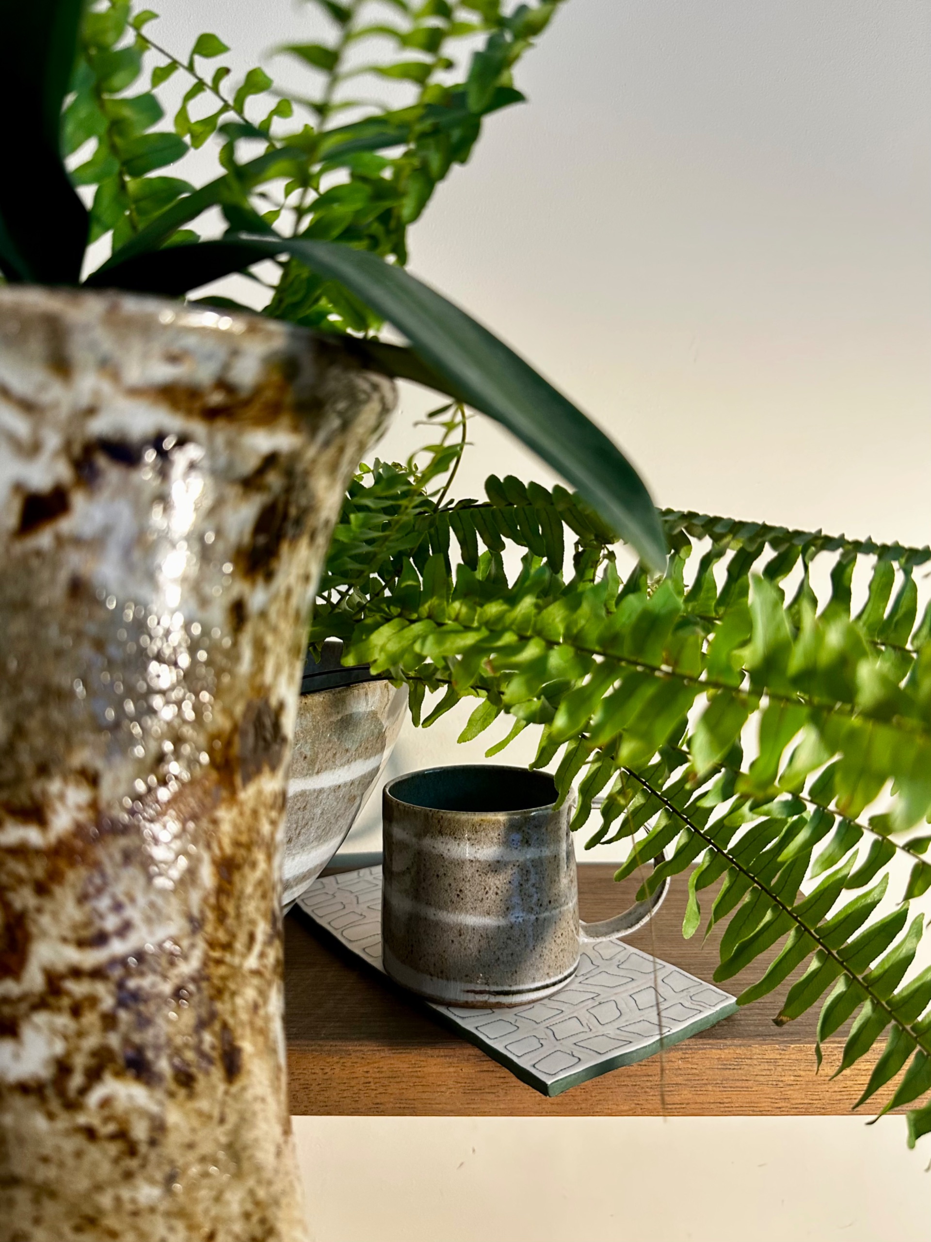 Glazed mug and vessels on a studio shelf with ferns